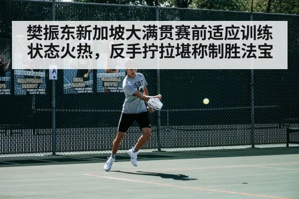 樊振东新加坡大满贯赛前适应训练状态火热，反手拧拉堪称制胜法宝