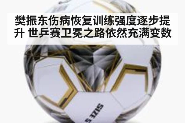 樊振东伤病恢复训练强度逐步提升 世乒赛卫冕之路依然充满变数